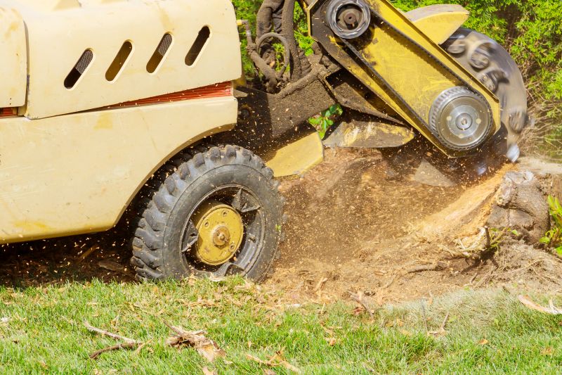 Commercial Stump Grinding in Pottstown, PA