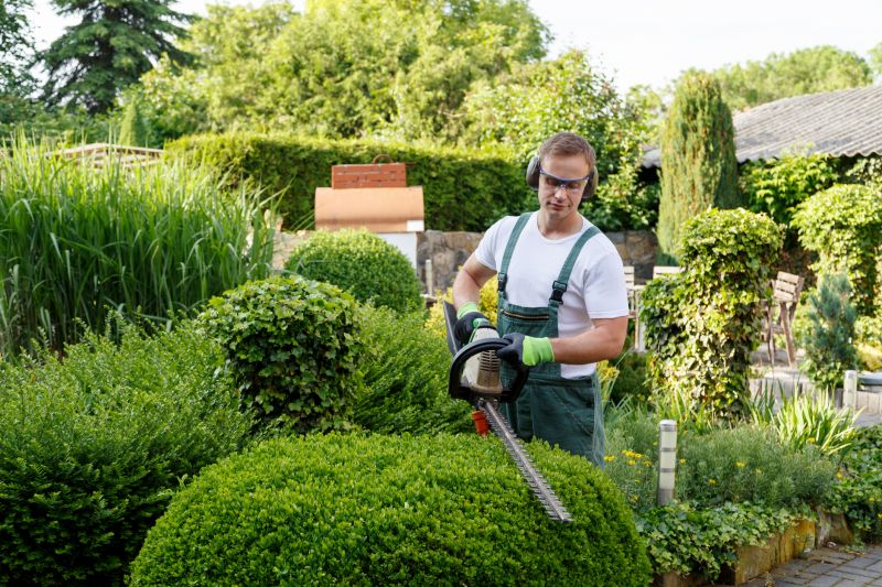 Hedge Shaping Service in Aiken, SC