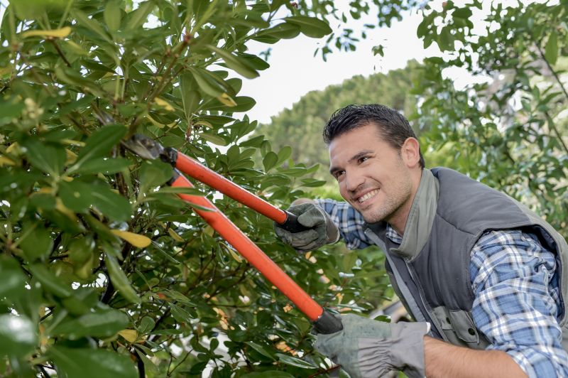 Shrub Trimming in Aiken, SC