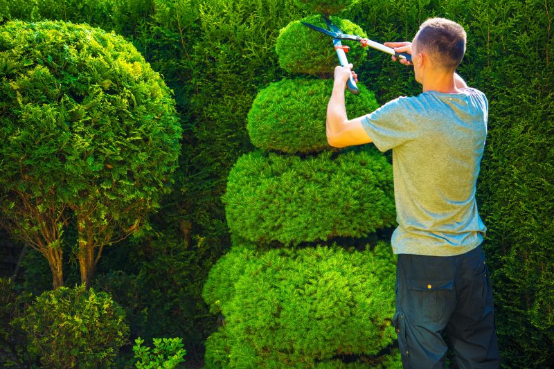Topiary Shaping in Aiken, SC