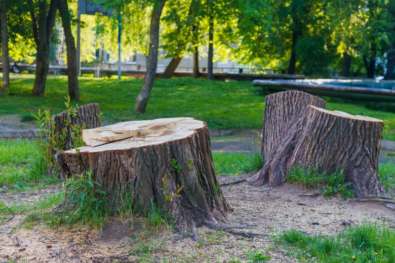 Bamboo Stump Removal in Calvert County, MD