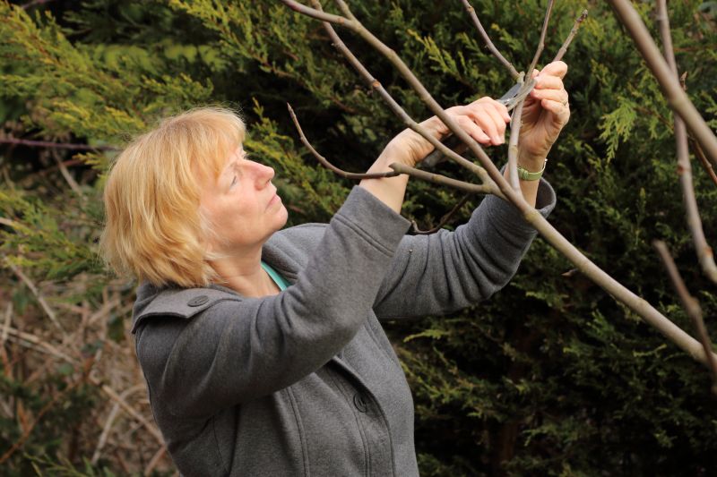 Branches Pruning in Allentown, PA