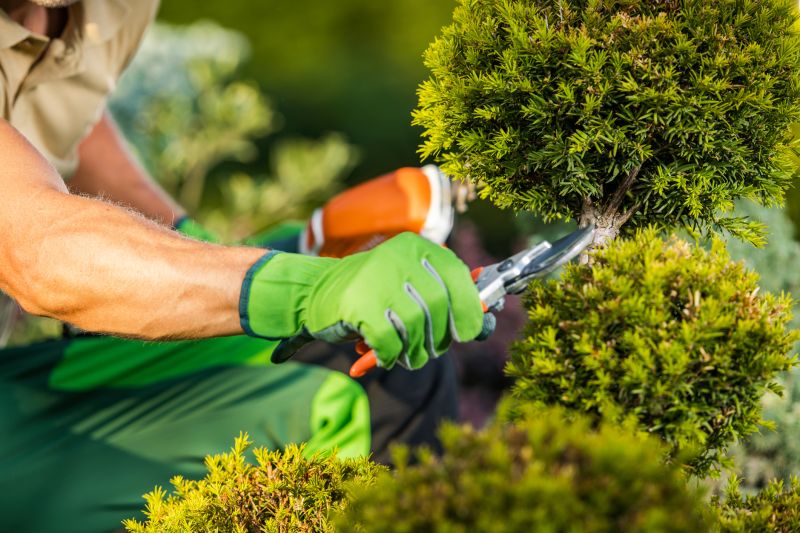 Bush Pruning in Honolulu, HI