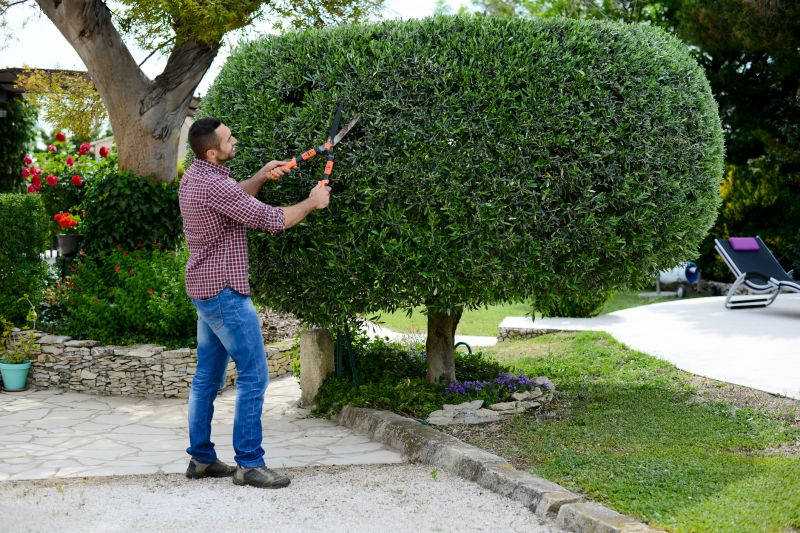 Bush Pruning in Rockwall, TX