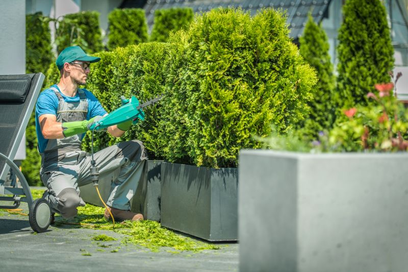 Commercial Shrub Trimming in Honolulu, HI