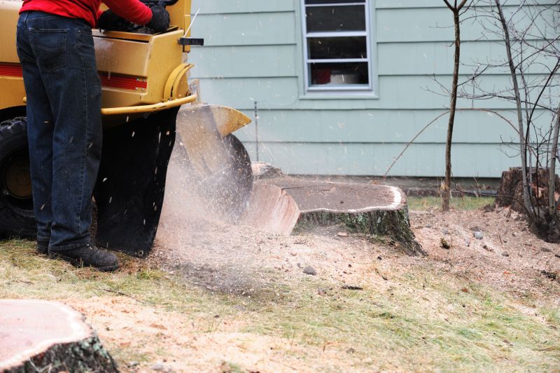 Commercial Stump Grinding in Waldorf, MD