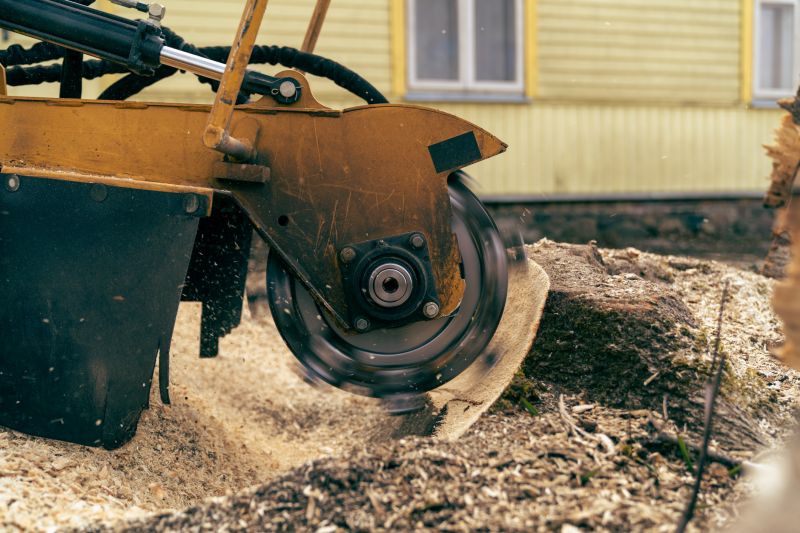 Commercial Stump Grinding in Waldorf, MD