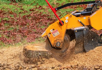 Commercial Stump Grinding in Calvert County, MD