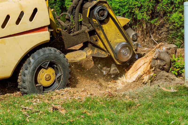 Commercial Stump Grinding in Aiken, SC
