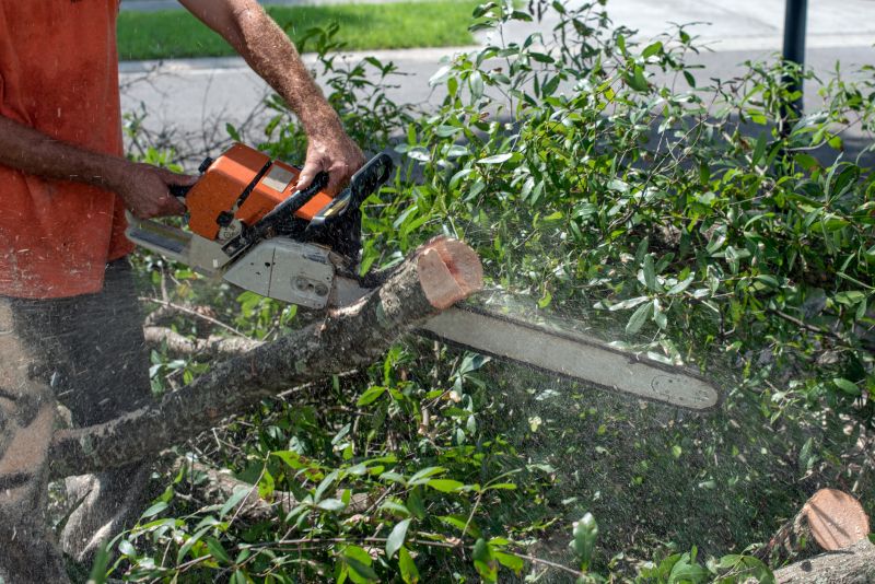 Commercial Tree Trimming in Montgomery County, PA