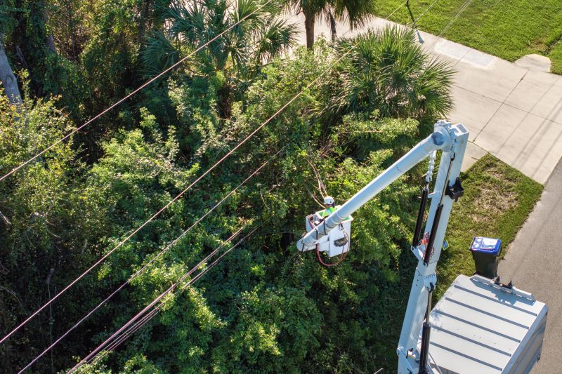 Commercial Tree Trimming in Bucks County, PA