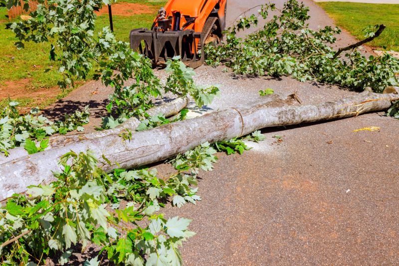 Dead Tree Removal in Montgomery County, PA