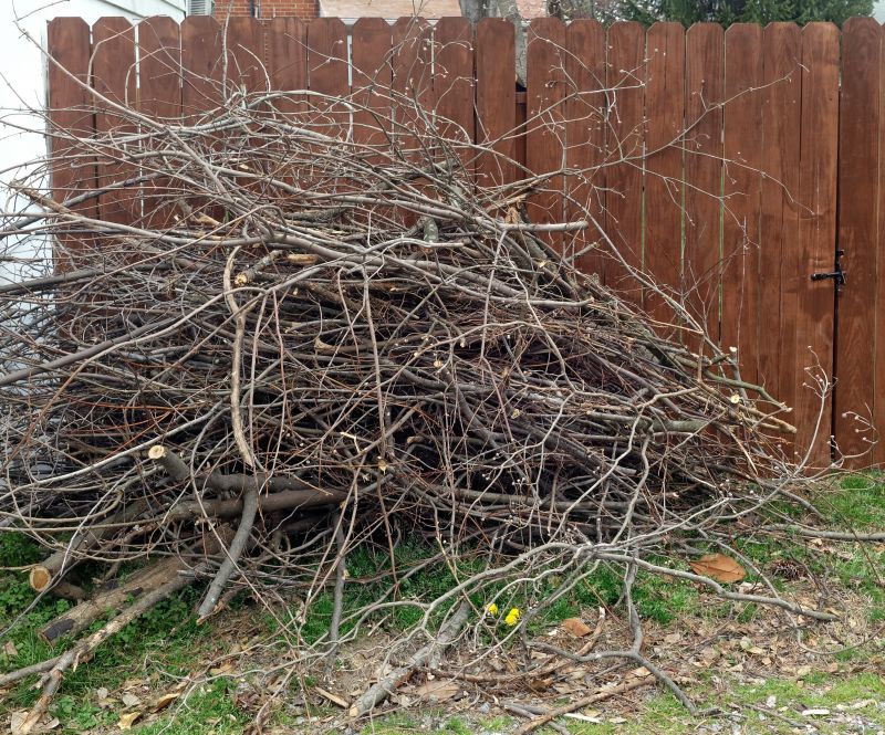 Deadwood Removal in Doylestown, PA