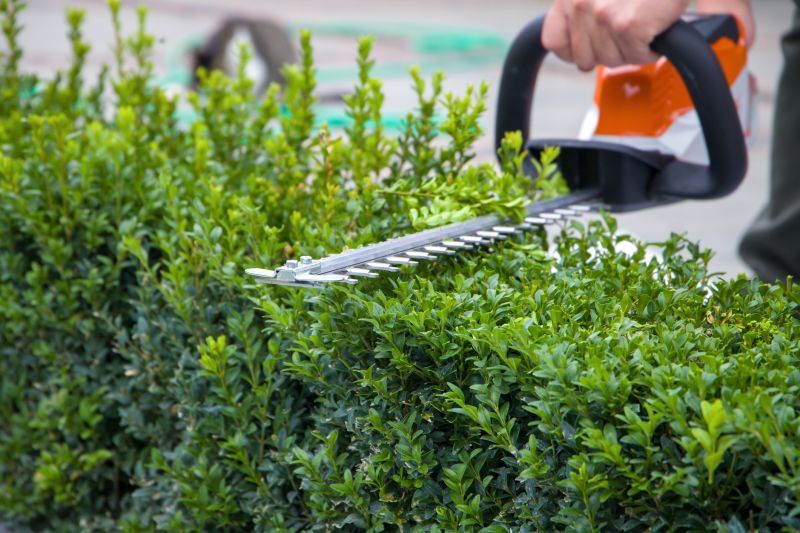 Evergreen Hedge Trimming in Aiken, SC