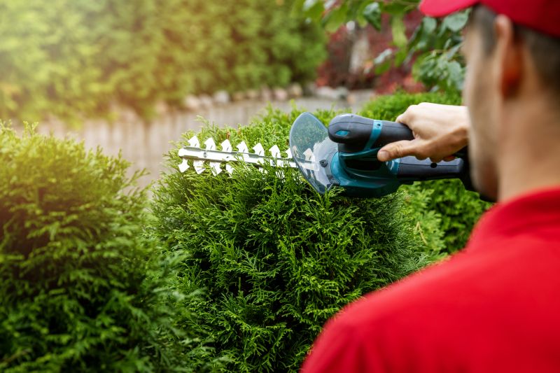 Evergreen Hedge Trimming in Rockwall, TX