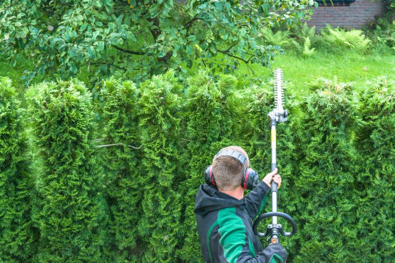 Evergreen Hedge Trimming in Rockwall, TX