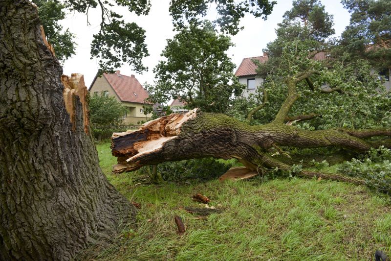 Fallen Tree Removal in Bucks County, PA