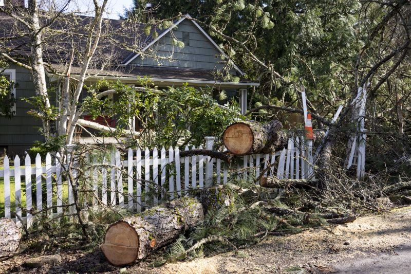 Fallen Tree Removal in Pottstown, PA