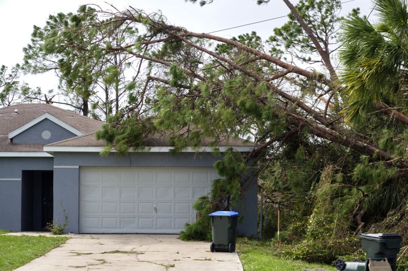Fallen Tree Removal in San Jose, CA