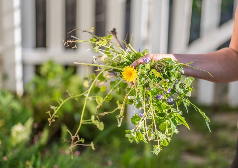 Garden Deweeding in Ventura County, CA