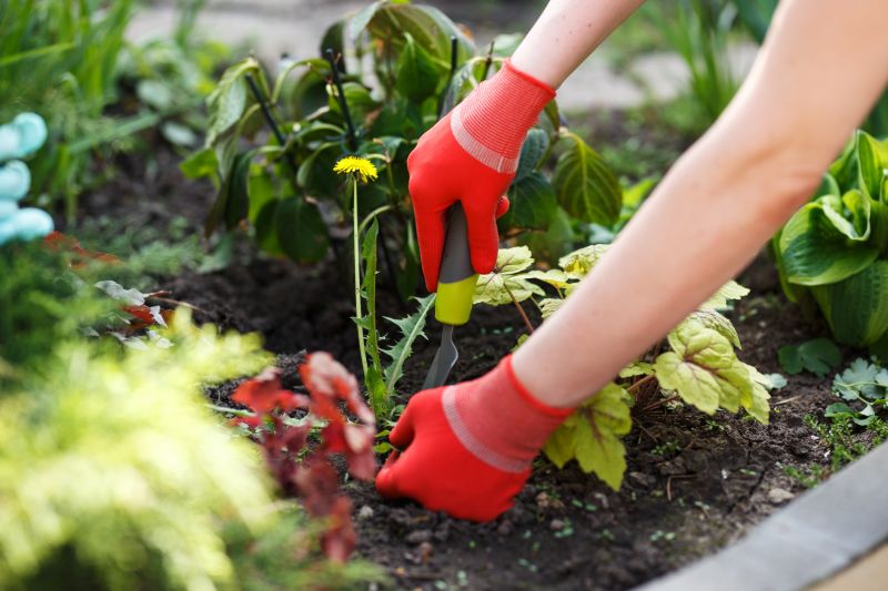 Garden Deweeding in Honolulu, HI