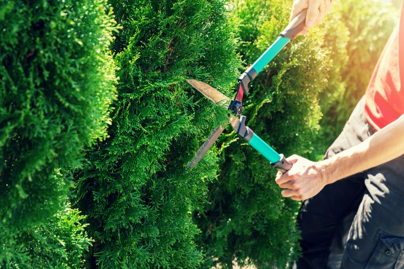 Hedge Pruning in Ventura County, CA