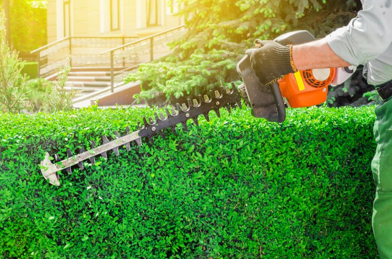 Hedge Trimming in Ventura County, CA