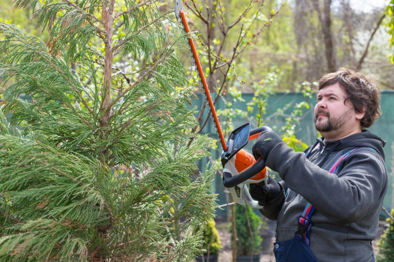 Juniper Pruning in Honolulu, HI