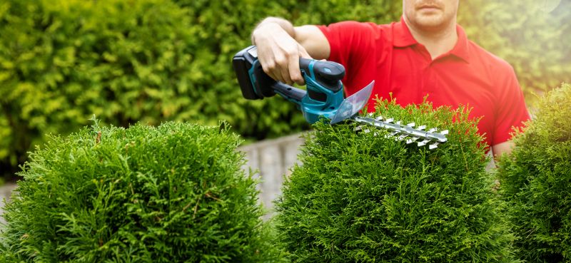 Landscape Trimming Service in Honolulu, HI
