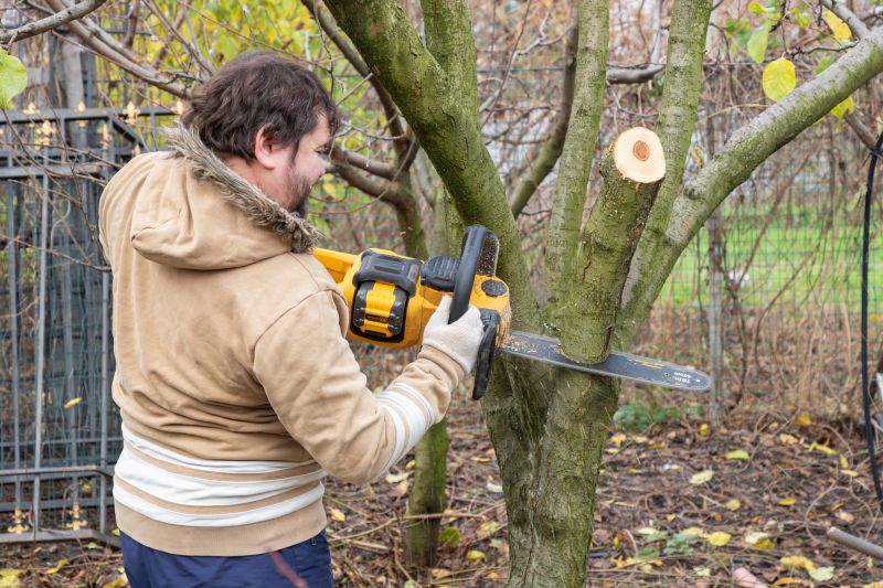 Residential Tree Service in Pottstown, PA