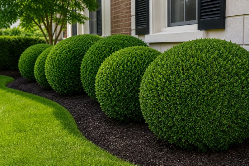 Shrub Pruning in Honolulu, HI