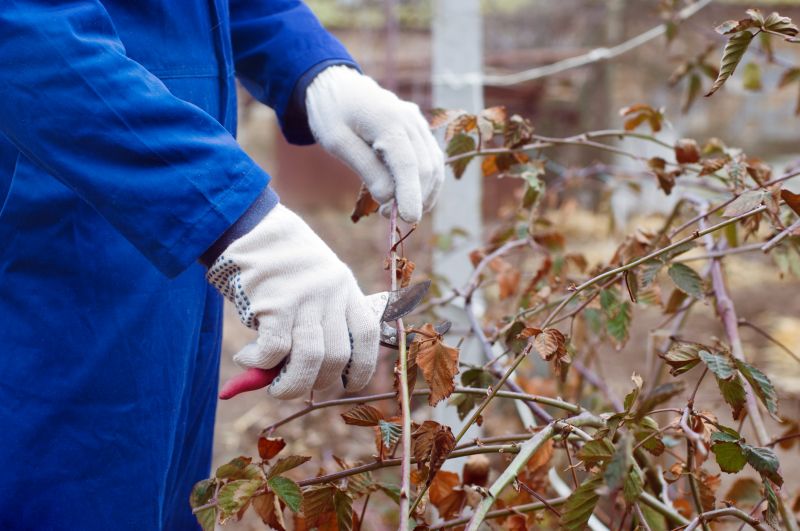 Shrub Pruning in Aiken, SC
