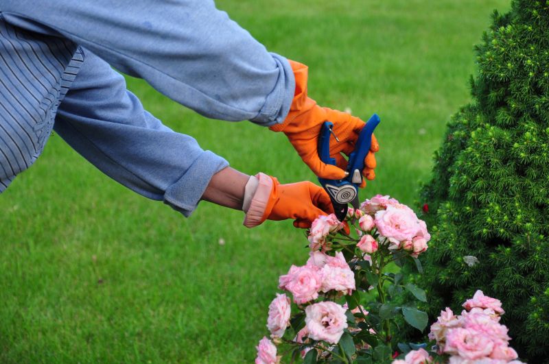 Shrub Pruning in Rockwall, TX