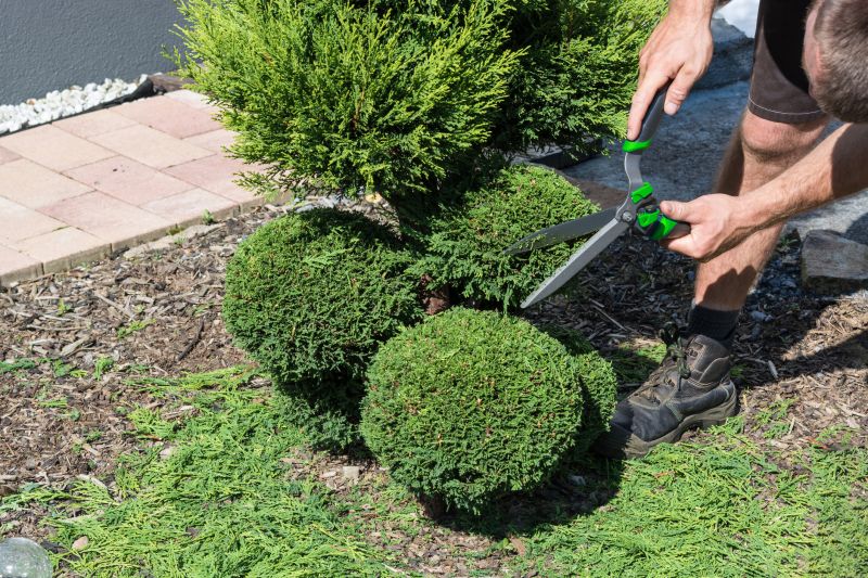 Shrub Shaping in Rockwall, TX