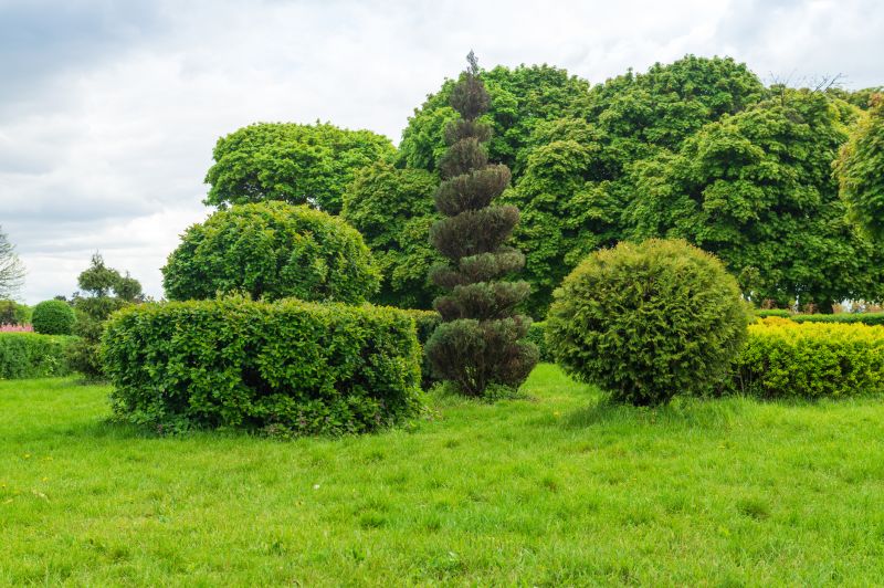 Shrub Shaping in Aiken, SC