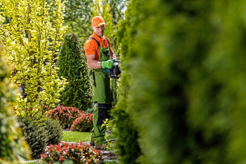 Shrub Trimming in Honolulu, HI