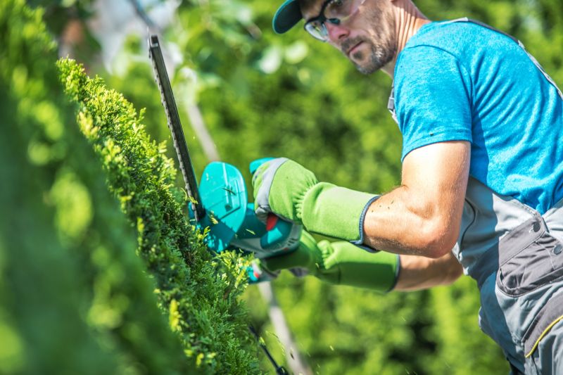 Shrub Trimming in Aiken, SC