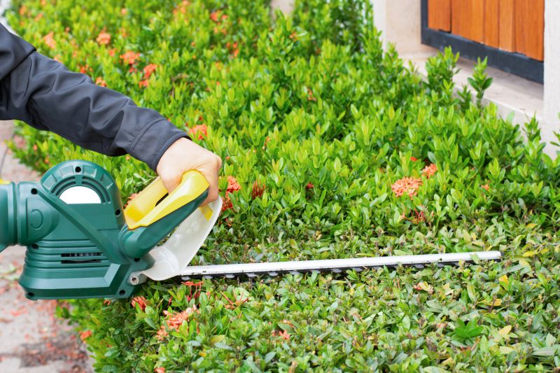 Shrub Trimming in Rockwall, TX