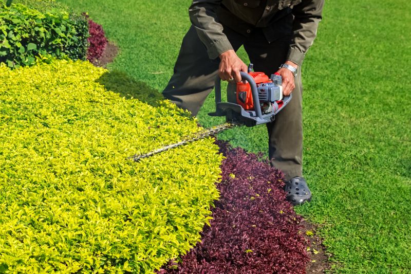 Shrub Trimming in Rockwall, TX