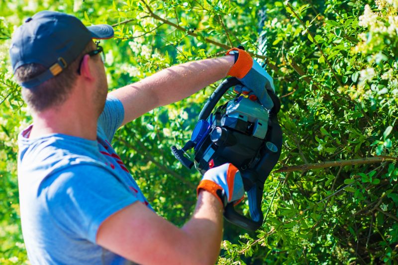 Shrub Trimming in Ventura County, CA