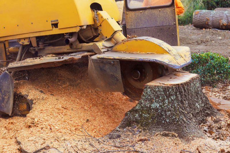Stump Cutting in Waldorf, MD