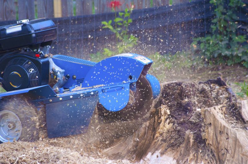Stump Grinding Service in Waldorf, MD