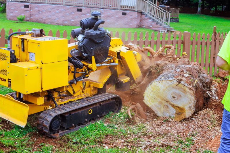 Stump Grinding Service in Aiken, SC