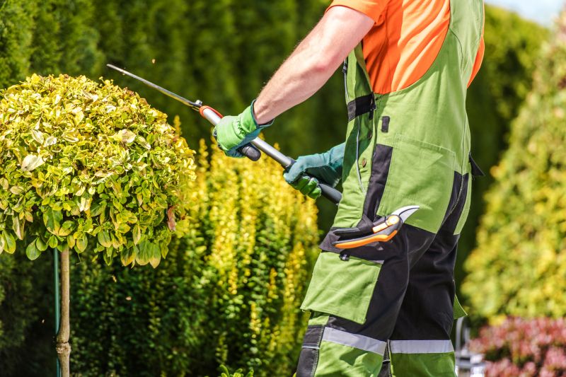 Topiary Shaping in Ventura County, CA