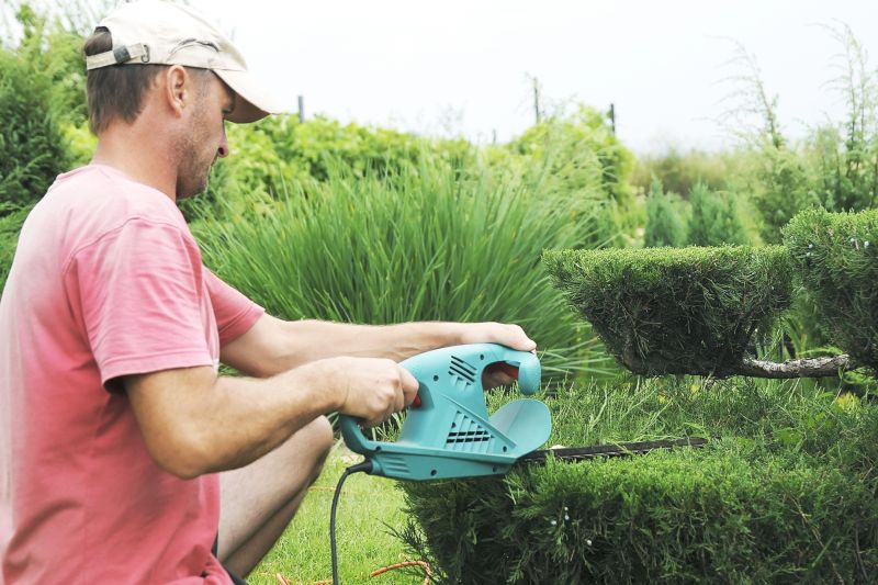 Topiary Shaping in Rockwall, TX
