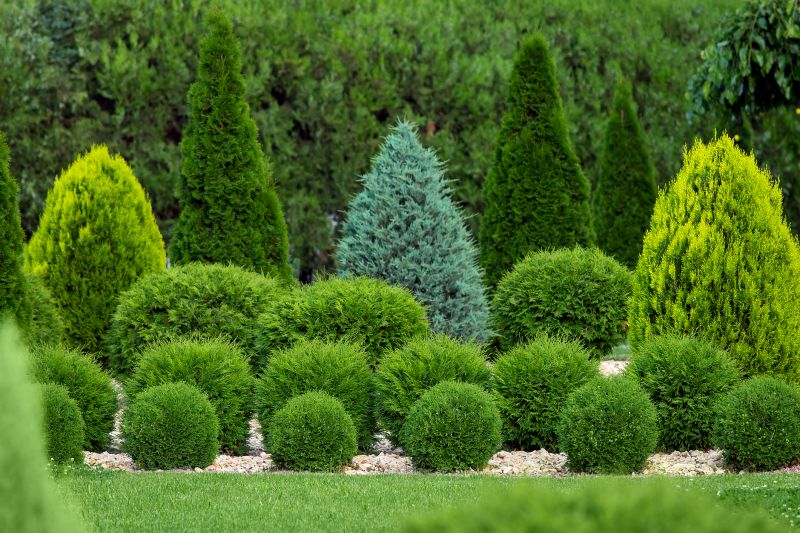 Topiary Shaping in Rockwall, TX