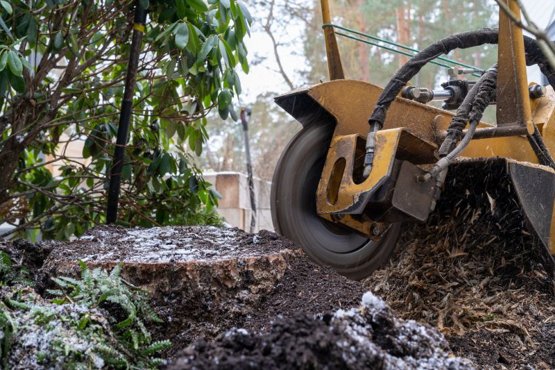 Tree Root Grinding in Aiken, SC